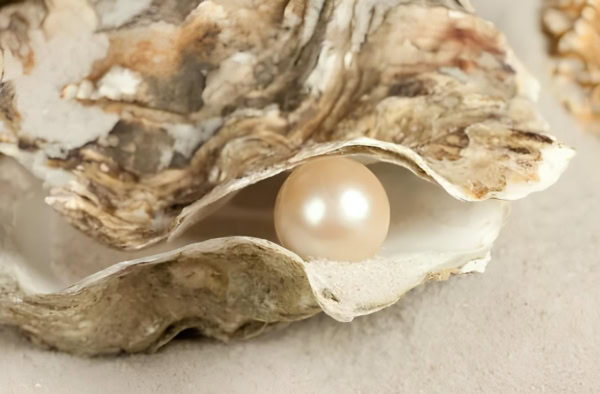 How are pearls made? - Pearls Nation